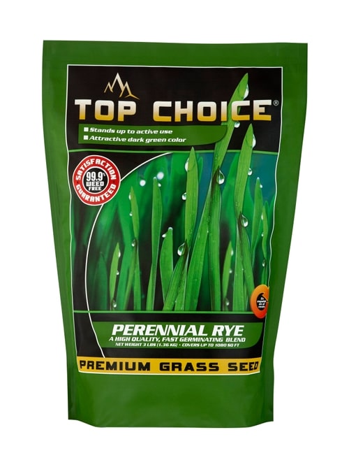 Mountain View Seeds 3 lbs  Perennail Rye Grass Seed (3 lbs)