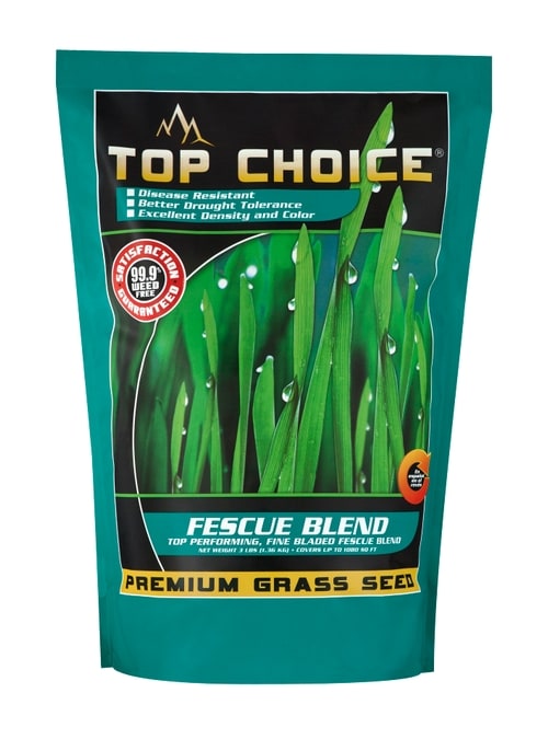 Mountain View Seeds 3 lbs  Fescue Blend Grass Seed (3 lbs)