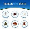 Cutter Backwoods Insect Repellent (Aerosol)