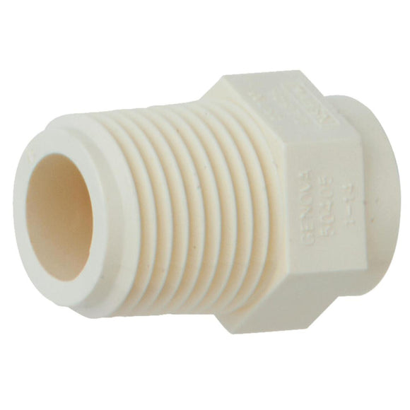 Charlotte Pipe 1/2 In. Male Thread to CPVC Adapter