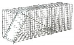 Little Giant Single Door Live Animal Trap