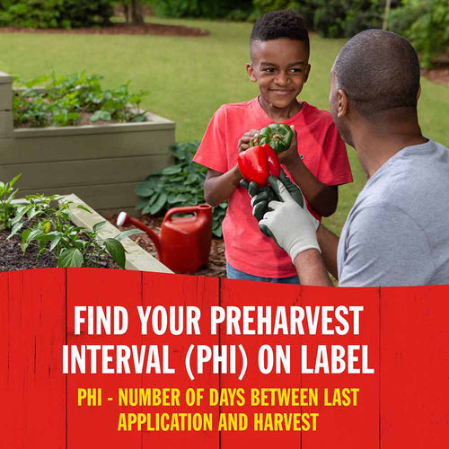 Garden Tech Sevin Ready-to-Use Insect Killer Power Sprayer