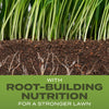 Scotts® Turf Builder® Grass Seed Tall Fescue Mix